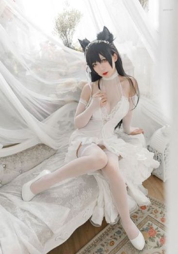 久久r热视频_DVD在线观看
